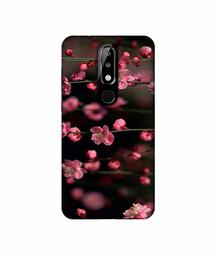 Amazon Brand - Solimo Designer Pink Flowers 3D Printed Hard Back Case Mobile Cover for Nokia 5.1 Plus