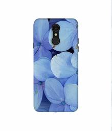 Amazon Brand - Solimo Designer Light Blue Flower Photography 3D Printed Hard Back Case Mobile Cover for LG Q7