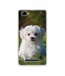 Amazon Brand - Solimo Designer White Dog UV Printed Soft Back Case Mobile Cover for Lyf C459