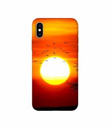 Amazon Brand - Solimo Designer Sunset View 3D Printed Hard Back Case Mobile Cover for Apple iPhone Xs Max