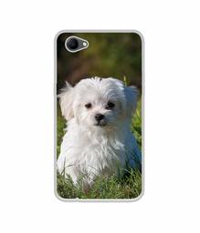 Amazon Brand - Solimo Designer White Dog UV Printed Soft Back Case Mobile Cover for Oppo A3