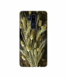 Amazon Brand - Solimo Designer Wheat Plants 3D Printed Hard Back Case Mobile Cover for LG G7 ThinQ