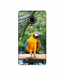 Amazon Brand - Solimo Designer Macaw Bird 3D Printed Hard Back Case Mobile Cover for Micromax YU Yuphoria AQ5010 / AO5010