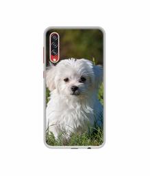 Amazon Brand - Solimo Designer White Dog UV Printed Soft Back Case Mobile Cover for Samsung Galaxy A70s