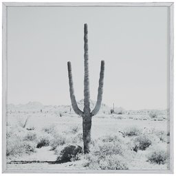 Amazon Brand – Stone & Beam Modern Black and White Desert Cactus Photo on Wood, White Frame, 20