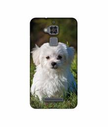 Amazon Brand - Solimo Designer White Dog UV Printed Soft Back Case Mobile Cover for Asus Zenfone 3 Max ZC520TL