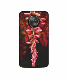 Amazon Brand - Solimo Designer Flowers Photograpy 3D Printed Hard Back Case Mobile Cover for Motorola Moto X4