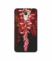 Amazon Brand - Solimo Designer Flowers Photograpy 3D Printed Hard Back Case Mobile Cover for Gionee X1