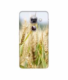 Amazon Brand - Solimo Designer Wheat Plant 3D Printed Hard Back Case Mobile Cover for LeEco Le Max 2