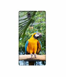 Amazon Brand - Solimo Designer Macaw Bird 3D Printed Hard Back Case Mobile Cover for Sony Xperia C3 Dual