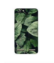 Amazon Brand - Solimo Designer Leafs 3D Printed Hard Back Case Mobile Cover for Lenovo Vibe K5 Plus