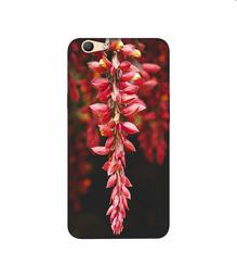 Amazon Brand - Solimo Designer Flowers Photograpy 3D Printed Hard Back Case Mobile Cover for Oppo F1s