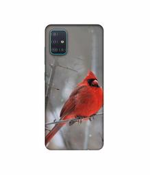 Amazon Brand - Solimo Designer Red Engry Bird 3D Printed Hard Back Case Mobile Cover for Samsung Galaxy A51