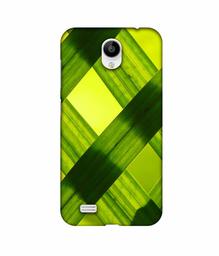 Amazon Brand - Solimo Designer Leafs Texture 3D Printed Hard Back Case Mobile Cover for Vivo Y21L