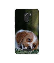 Amazon Brand - Solimo Designer Cute Puppy 3D Printed Hard Back Case Mobile Cover for Gionee A1 Lite