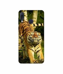 Amazon Brand - Solimo Designer Tiger 3D Printed Hard Back Case Mobile Cover for Asus Zenfone Max M1 ZB555KL