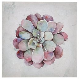 Amazon Brand – Stone & Beam Modern Green and Pink Echeveria Succulent Flower Print Wall Art Decor on Canvas - 30