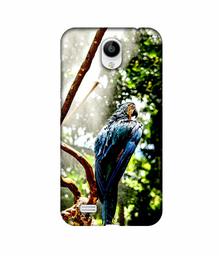 Amazon Brand - Solimo Designer Macaw Parrot 3D Printed Hard Back Case Mobile Cover for Vivo Y21L