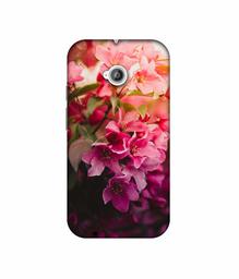 Amazon Brand - Solimo Designer Blossom Weather 3D Printed Hard Back Case Mobile Cover for Motorola Moto E 2nd Generation