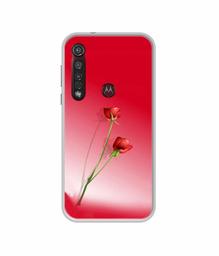 Amazon Brand - Solimo Designer Red Roses UV Printed Soft Back Case Mobile Cover for Motorola Moto G8 Plus