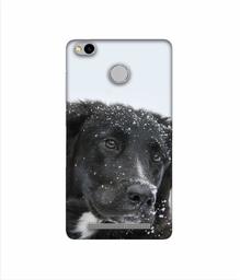 Amazon Brand - Solimo Designer Labrador Dog 3D Printed Hard Back Case Mobile Cover for Xiaomi Redmi 3S Prime