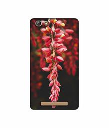 Amazon Brand - Solimo Designer Flowers Photograpy 3D Printed Hard Back Case Mobile Cover for Gionee Marathon M5 lite