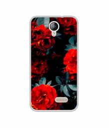 Amazon Brand - Solimo Designer Rose Photography UV Printed Soft Back Case Mobile Cover for Lephone W2