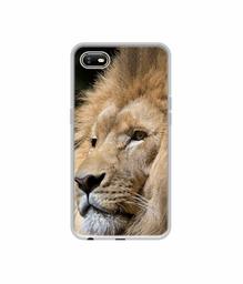 Amazon Brand - Solimo Designer Lion UV Printed Soft Back Case Mobile Cover for Oppo A1K