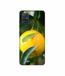 Amazon Brand - Solimo Designer Lemon 3D Printed Hard Back Case Mobile Cover for Samsung Galaxy A71