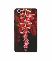 Amazon Brand - Solimo Designer Flowers Photograpy 3D Printed Hard Back Case Mobile Cover for Micromax Canvas Selfie 2 Q340