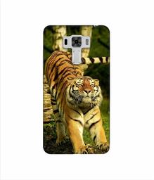 Amazon Brand - Solimo Designer Tiger 3D Printed Hard Back Case Mobile Cover for Asus Zenfone 3 Laser ZC551KL