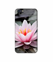 Amazon Brand - Solimo Designer Lotus 3D Printed Hard Back Case Mobile Cover for Oppo A71