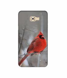 Amazon Brand - Solimo Designer Red Engry Bird 3D Printed Hard Back Case Mobile Cover for Samsung Galaxy C7 Pro