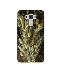 Amazon Brand - Solimo Designer Wheat Plants 3D Printed Hard Back Case Mobile Cover for Asus Zenfone 3 Laser ZC551KL