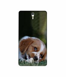 Amazon Brand - Solimo Designer Cute Puppy 3D Printed Hard Back Case Mobile Cover for Sony Xperia C5 Ultra Dual