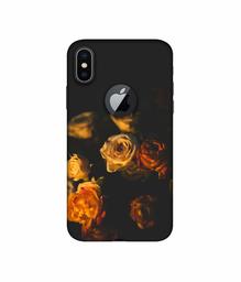 Amazon Brand - Solimo Designer Roses 3D Printed Hard Back Case Mobile Cover for Apple iPhone X (Logo Cut)