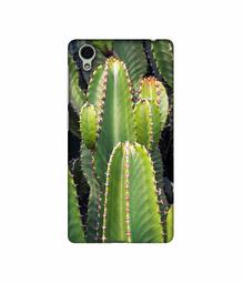 Amazon Brand - Solimo Designer Desert Plant 3D Printed Hard Back Case Mobile Cover for Vivo Y51L