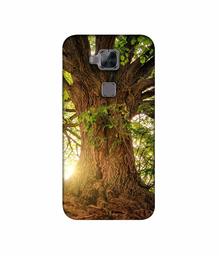 Amazon Brand - Solimo Designer Tree Trunk 3D Printed Hard Back Case Mobile Cover for Huawei G8