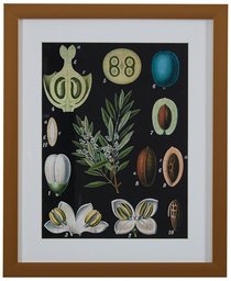 Urban Living PTM Images 1-29738 Collection Framed and matted giclee Print on Paper Under Glass Wall Art