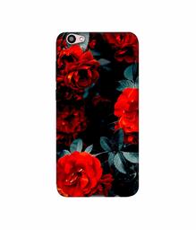 Amazon Brand - Solimo Designer Rose Photography 3D Printed Hard Back Case Mobile Cover for Vivo V5 Plus