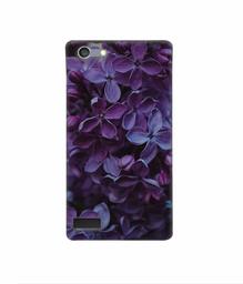 Amazon Brand - Solimo Designer Purple Flowers 3D Printed Hard Back Case Mobile Cover for Oppo Neo 7