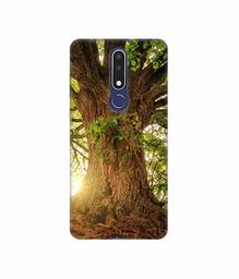 Amazon Brand - Solimo Designer Tree Trunk 3D Printed Hard Back Case Mobile Cover for Nokia 3.1 Plus