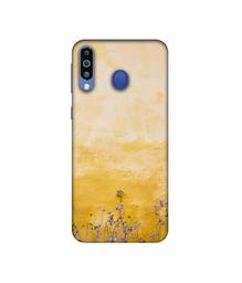 Amazon Brand - Solimo Designer Dry Flower On Wall 3D Printed Hard Back Case Mobile Cover for Samsung Galaxy M21