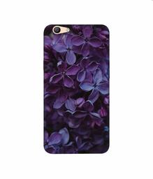 Amazon Brand - Solimo Designer Purple Flowers 3D Printed Hard Back Case Mobile Cover for Oppo F1s