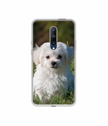 Amazon Brand - Solimo Designer White Dog UV Printed Soft Back Case Mobile Cover for OnePlus 7 Pro