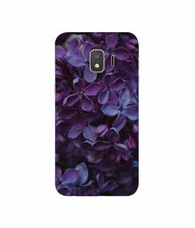 Amazon Brand - Solimo Designer Purple Flowers 3D Printed Hard Back Case Mobile Cover for Samsung Galaxy J2 Core