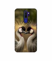 Amazon Brand - Solimo Designer Birds 3D Printed Hard Back Case Mobile Cover for Oppo A9 (2020)