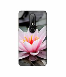 Amazon Brand - Solimo Designer Lotus 3D Printed Hard Back Case Mobile Cover for Nokia 6.1 Plus