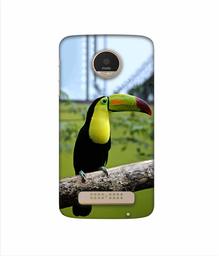 Amazon Brand - Solimo Designer Woodcutter 3D Printed Hard Back Case Mobile Cover for Motorola Moto Z Play