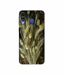 Amazon Brand - Solimo Designer Wheat Plants 3D Printed Hard Back Case Mobile Cover for Samsung Galaxy M21